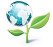 environment